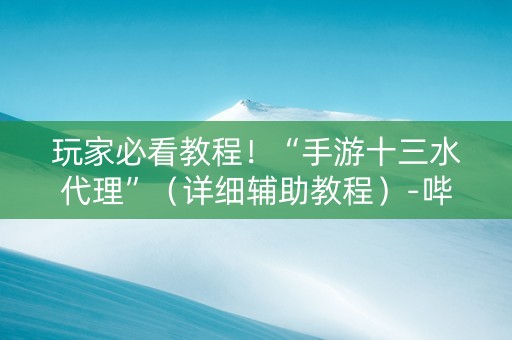 玩家必看教程！“手游十三水代理”（详细辅助教程）-哔哩哔哩