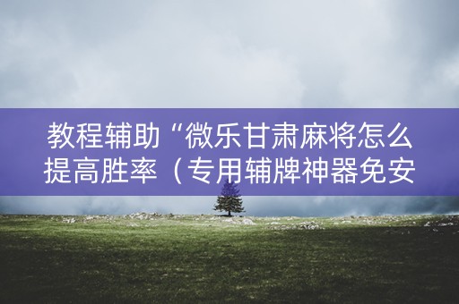 教程辅助“微乐甘肃麻将怎么提高胜率（专用辅牌神器免安装）