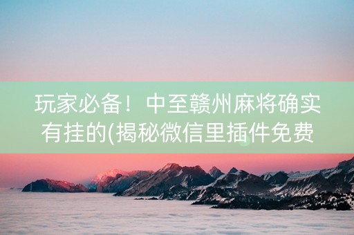 玩家必备！中至赣州麻将确实有挂的(揭秘微信里插件免费)