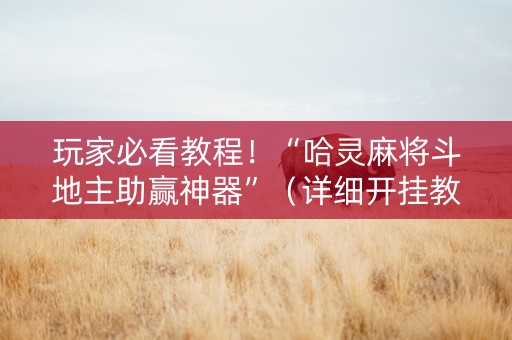 玩家必看教程！“哈灵麻将斗地主助赢神器”（详细开挂教程）-哔哩哔哩
