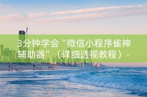 3分钟学会“微信小程序雀神辅助器”（详细透视教程）-哔哩哔哩