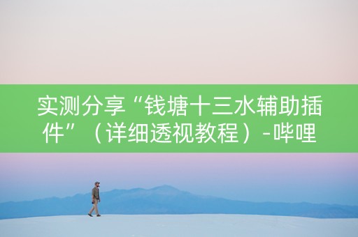实测分享“钱塘十三水辅助插件”（详细透视教程）-哔哩哔哩
