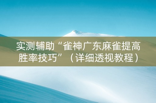 实测辅助“雀神广东麻雀提高胜率技巧”（详细透视教程）-哔哩哔哩