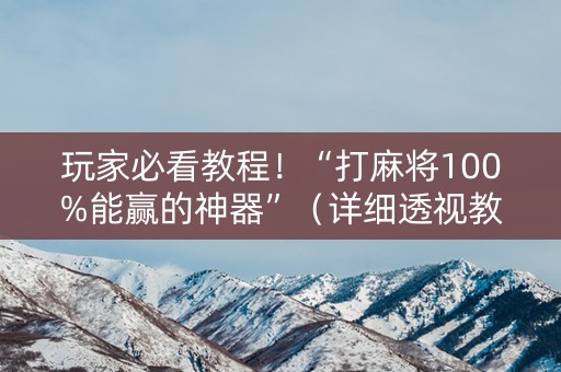 玩家必看教程！“打麻将100%能赢的神器”（详细透视教程）-哔哩哔哩