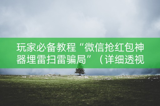 玩家必备教程“微信抢红包神器埋雷扫雷骗局”（详细透视教程）-哔哩哔哩
