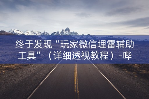 终于发现“玩家微信埋雷辅助工具”（详细透视教程）-哔哩哔哩