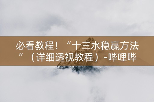 必看教程！“十三水稳赢方法”（详细透视教程）-哔哩哔哩