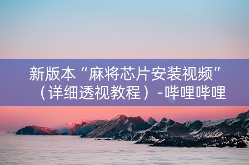 新版本“麻将芯片安装视频”（详细透视教程）-哔哩哔哩