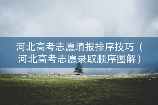 河北高考志愿填报排序技巧（河北高考志愿录取顺序图解）