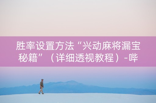 胜率设置方法“兴动麻将漏宝秘籍”（详细透视教程）-哔哩哔哩