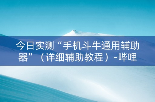 今日实测“手机斗牛通用辅助器”（详细辅助教程）-哔哩哔哩