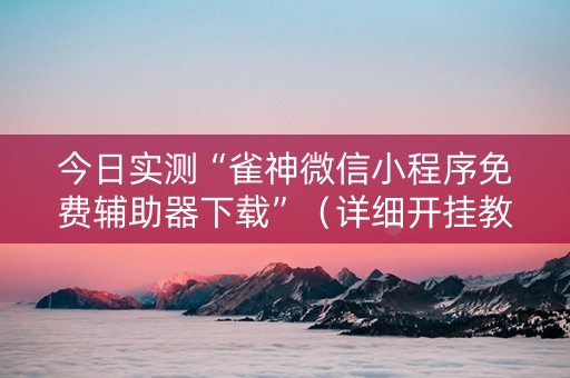 今日实测“雀神微信小程序免费辅助器下载”（详细开挂教程）-哔哩哔哩