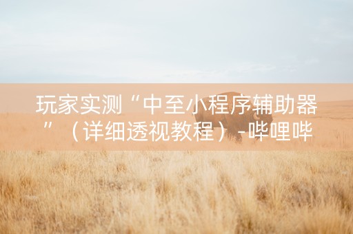 玩家实测“中至小程序辅助器”（详细透视教程）-哔哩哔哩