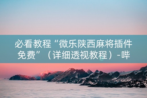 必看教程“微乐陕西麻将插件免费”（详细透视教程）-哔哩哔哩
