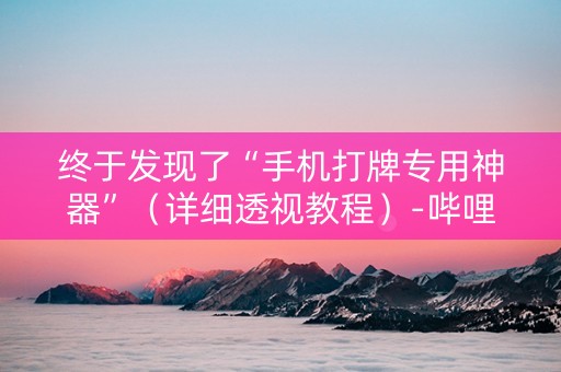 终于发现了“手机打牌专用神器”（详细透视教程）-哔哩哔哩