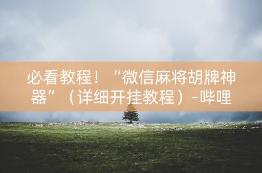 必看教程！“微信麻将胡牌神器”（详细开挂教程）-哔哩哔哩