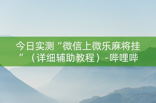 今日实测“微信上微乐麻将挂”（详细辅助教程）-哔哩哔哩