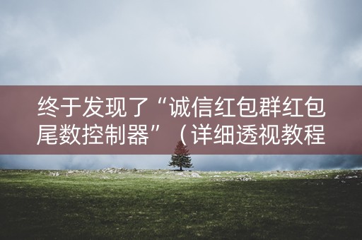 终于发现了“诚信红包群红包尾数控制器”（详细透视教程）-哔哩哔哩