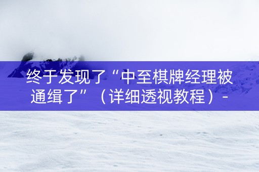终于发现了“中至棋牌经理被通缉了”（详细透视教程）-哔哩哔哩