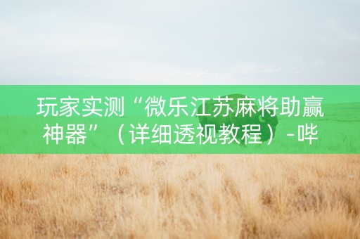 玩家实测“微乐江苏麻将助赢神器”（详细透视教程）-哔哩哔哩