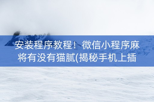 安装程序教程！微信小程序麻将有没有猫腻(揭秘手机上插件购买)