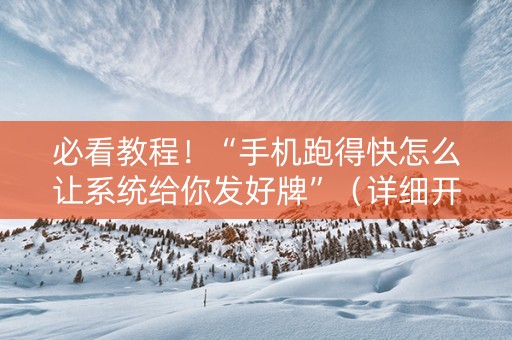 必看教程！“手机跑得快怎么让系统给你发好牌”（详细开挂教程）-哔哩哔哩