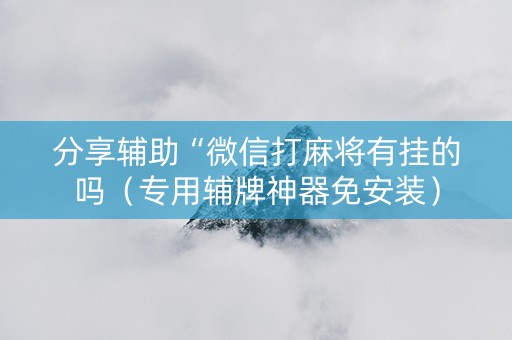 分享辅助“微信打麻将有挂的吗（专用辅牌神器免安装）