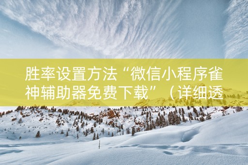 胜率设置方法“微信小程序雀神辅助器免费下载”（详细透视教程）-哔哩哔哩