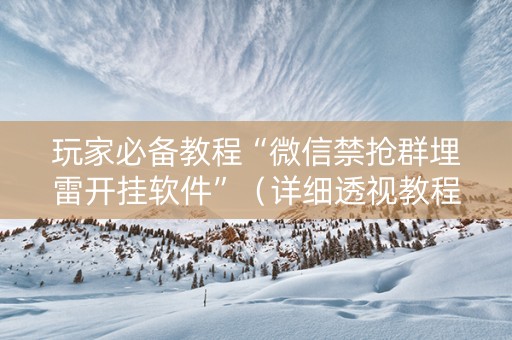 玩家必备教程“微信禁抢群埋雷开挂软件”（详细透视教程）-哔哩哔哩