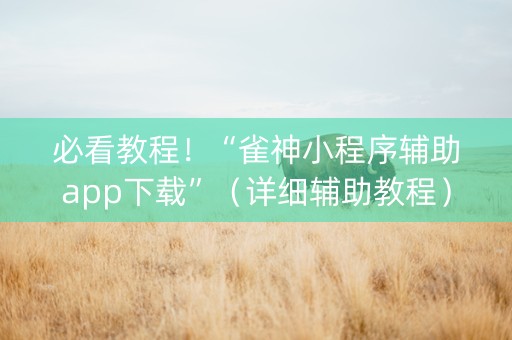 必看教程！“雀神小程序辅助app下载”（详细辅助教程）-哔哩哔哩