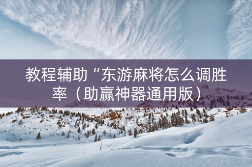 教程辅助“东游麻将怎么调胜率（助赢神器通用版）