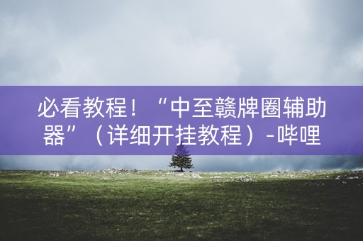 必看教程！“中至赣牌圈辅助器”（详细开挂教程）-哔哩哔哩