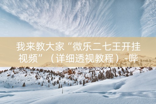 我来教大家“微乐二七王开挂视频”（详细透视教程）-哔哩哔哩