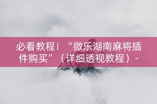 必看教程！“微乐湖南麻将插件购买”（详细透视教程）-哔哩哔哩