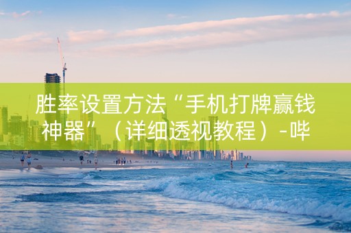 胜率设置方法“手机打牌赢钱神器”（详细透视教程）-哔哩哔哩