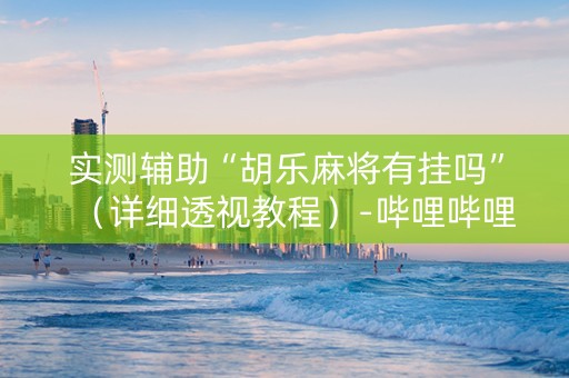 实测辅助“胡乐麻将有挂吗”（详细透视教程）-哔哩哔哩