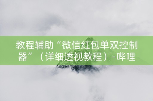 教程辅助“微信红包单双控制器”（详细透视教程）-哔哩哔哩