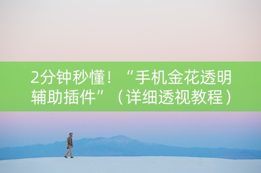 2分钟秒懂！“手机金花透明辅助插件”（详细透视教程）-哔哩哔哩