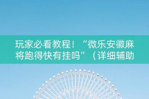 玩家必看教程！“微乐安徽麻将跑得快有挂吗”（详细辅助教程）-哔哩哔哩