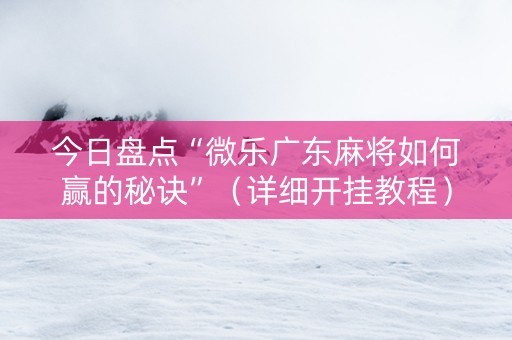 今日盘点“微乐广东麻将如何赢的秘诀”（详细开挂教程）-哔哩哔哩