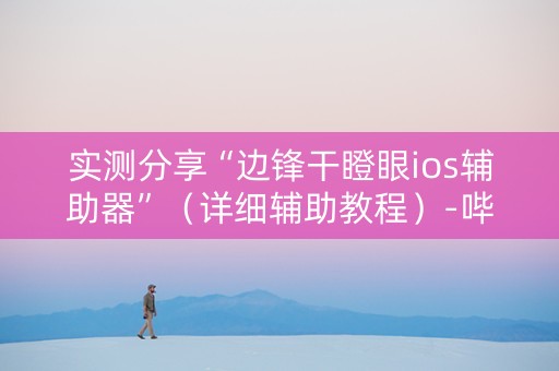 实测分享“边锋干瞪眼ios辅助器”（详细辅助教程）-哔哩哔哩