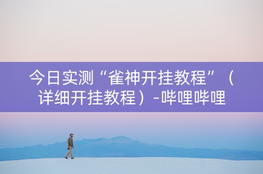 今日实测“雀神开挂教程”（详细开挂教程）-哔哩哔哩