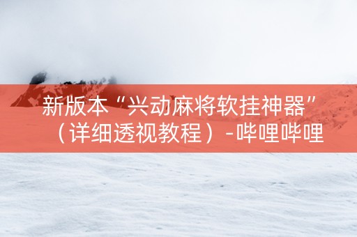 新版本“兴动麻将软挂神器”（详细透视教程）-哔哩哔哩