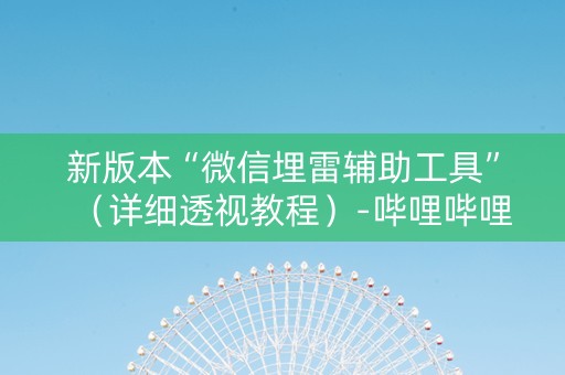 新版本“微信埋雷辅助工具”（详细透视教程）-哔哩哔哩