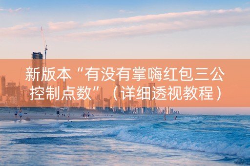 新版本“有没有掌嗨红包三公控制点数”（详细透视教程）-哔哩哔哩