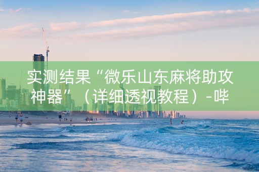 实测结果“微乐山东麻将助攻神器”（详细透视教程）-哔哩哔哩