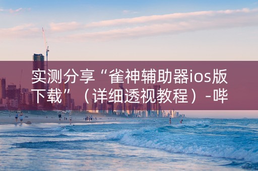 实测分享“雀神辅助器ios版下载”（详细透视教程）-哔哩哔哩