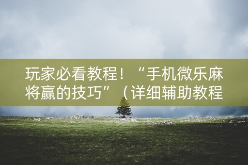 玩家必看教程！“手机微乐麻将赢的技巧”（详细辅助教程）-哔哩哔哩