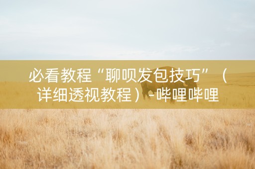 必看教程“聊呗发包技巧”（详细透视教程）-哔哩哔哩