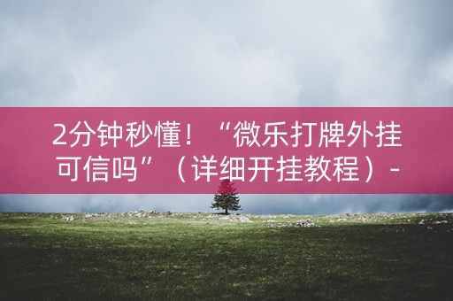 2分钟秒懂！“微乐打牌外挂可信吗”（详细开挂教程）-哔哩哔哩